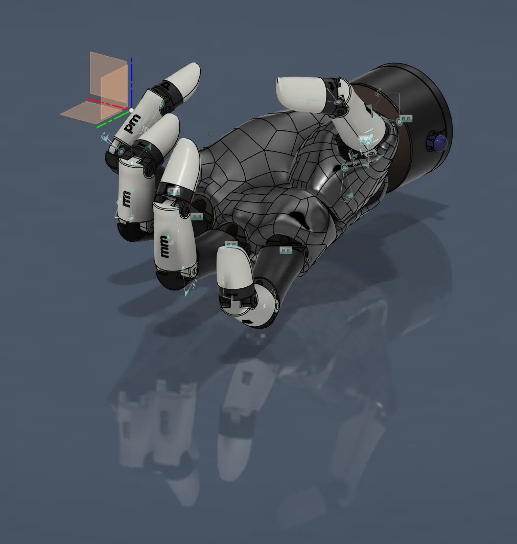CAD model showing the internal structure of a prosthetic hand